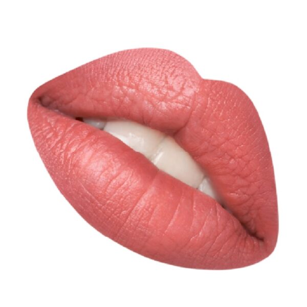 0ADBEA7DADFB9995DB1E40C10D526963_ Astra madame lipstylo the mat 02 noblesse oblige