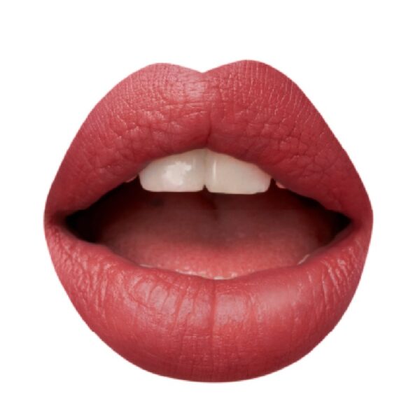 2767E9F5A729CB312130D828BB99E0A4_ Astra madame lipstylo the mat 03 foile cafe