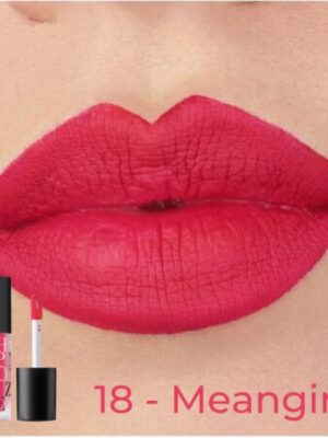 Astra hypnotize liquid lipstick mat 18 mean girl