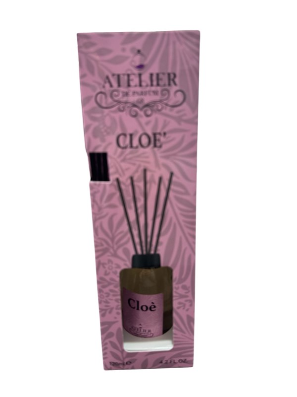 F70AFDD8CFA1791C1ABACF7D09354517_ Atelier prof ambiente 120 ml cloÈ